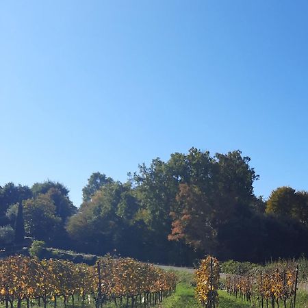 Acero Rosso B&B In Franciacorta Erbusco Bagian luar foto