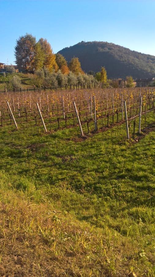 Acero Rosso B&B In Franciacorta Erbusco Bagian luar foto