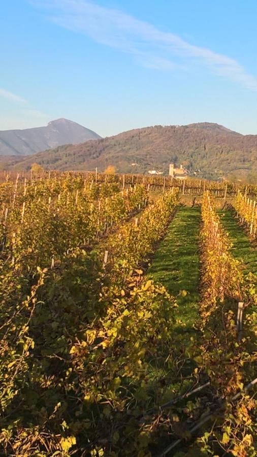 Acero Rosso B&B In Franciacorta Erbusco Bagian luar foto