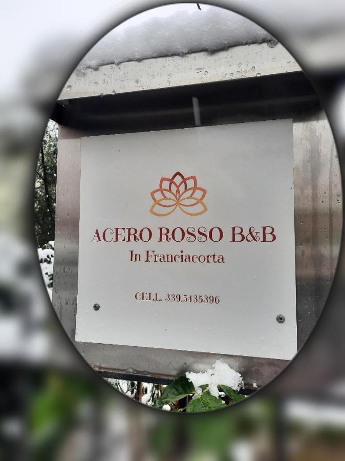 Acero Rosso B&B In Franciacorta Erbusco Bagian luar foto
